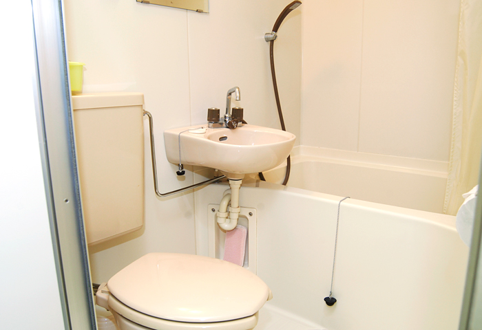 ������Ἴ�Ϥ���ʴ����Ǥ�����������줿�Τ򥷥��������ޤ��礦��