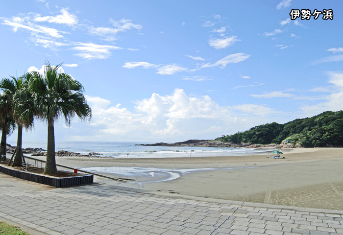 �Ƶ��ϳ������ڤ���ޤ����߾�ϥӡ������⤹��Τ⤤���Ǥ��礦���ɼˤ������⣵ʬ�Ǥ���