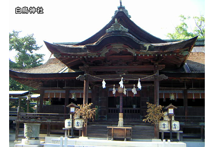 �����βۻ�Ź�إ���������٤Ǥ����Ǻ�ˤ�����ä��������Ĥ����äѤ��������⤢��ޤ����