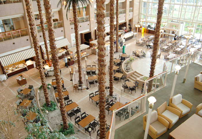 �ۥƥ���Υ��ӡ��Ǥ������ȤƤ⹭�����ӡ��ʤΤ��⤭�䤹���Ǥ���