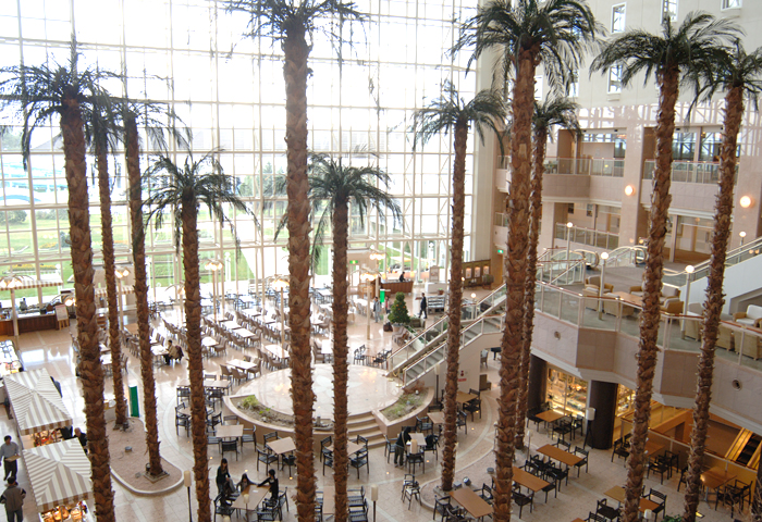 �ۥƥ���ϤȤäƤ⹭���Ǥ������ӡ��Ǥ�ä���ᤴ���Τ���å����Ǥ��ޤ���