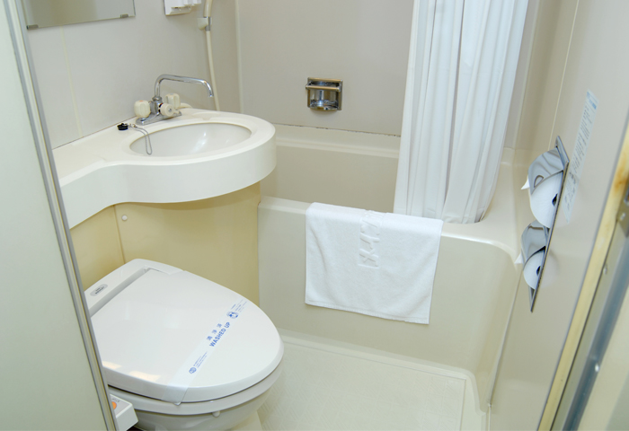 �Ƽ��ΥХ��롼��Ǥ��ʡ��������鴶�Τ���Х��롼��ϴ򤷤��Ǥ��͡�