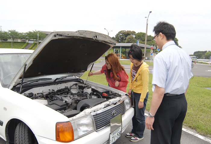 ���ӡ��⹭�����Ƥ��ޤ��衪��ʬž���ǡ����ӡ��Ǥ��Ĥ����Τ⤤�����⤷��ޤ���