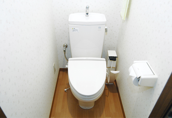 �ȥ���ϳ�����������äƤ��ơ��Х��롼�����Ω���Ƥ��ޤ���