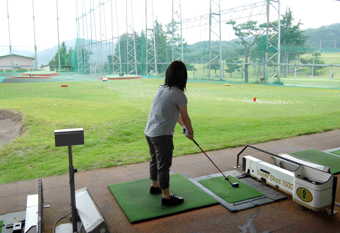 �ϡ��ե������Υ���վ�Ǥ������ɥ饤�С���Ȥ����ܳʥ������Ǥ��������󥸤��Ʋ�������