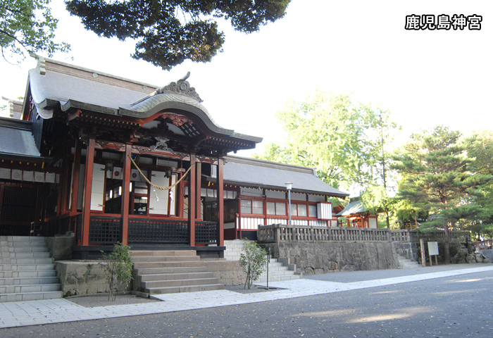 ��ž�֤�̵�����߽Ф��Ƥ��ޤ��Τǡ������Ȼ����������㤤ʪ�˹Ԥä������ޤ����