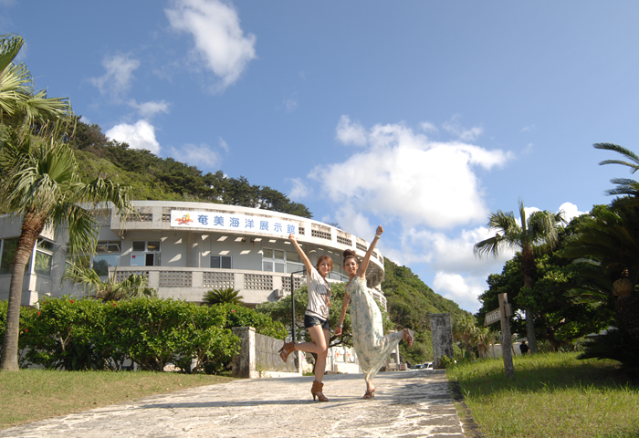 ����ޤ�̨�����į˾�ϡ���ʤǤ��衪����̤Υ꡼�դ˰Ϥޤ줿�����γ���ǽ���Ƥ���������