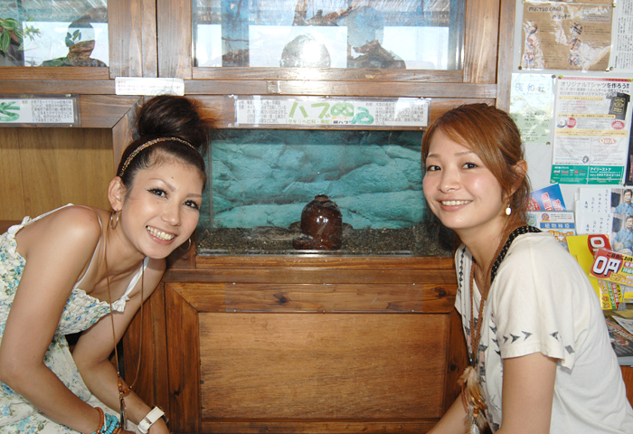 ���������볤�򸫤Ƥ���Ȼפ鷺������˹Ԥ������ʤäƤ��ޤ��ޤ��͡�