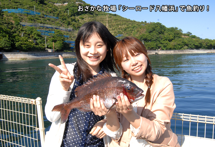 ʿ�Ȳ��Τ������ή���ϡ��ϸ��Ǥ�͵��Υ��ݥåȤǤ������ʣ����������������ޤǡ�