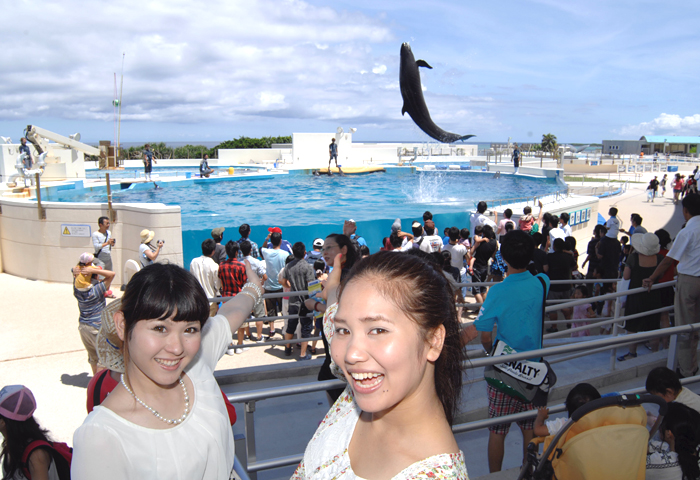 �����������ǳڤ����֥��륫���硼�פ��綽ʳ��