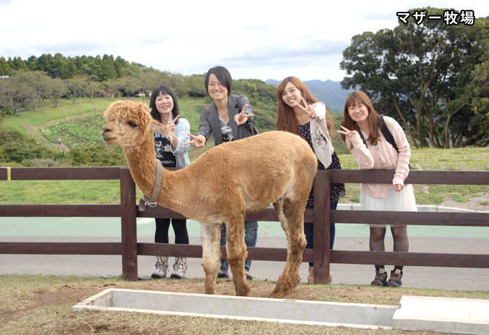 �֤�ưʪ�����Υ��󥿡��ƥ����ȥե�����֥ޥ����Ҿ�פ���Ƥߤޤ�������