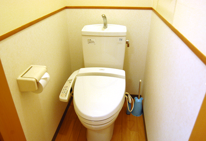 �����եȥ���ϡ�������������äƤ��ޤ����Х��롼��Ȥ���Ω���Ƥ��ޤ���