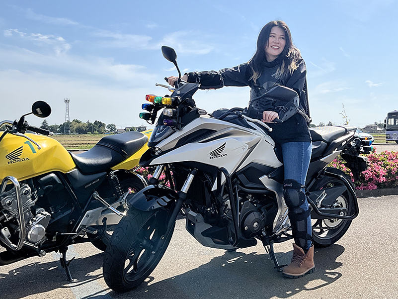 �����ϡ��٥ƥ���Ƴ���������Ƴ���ޤǡ����ڤ˻�Ƴ����Τǰ¿�������Ƥ���������