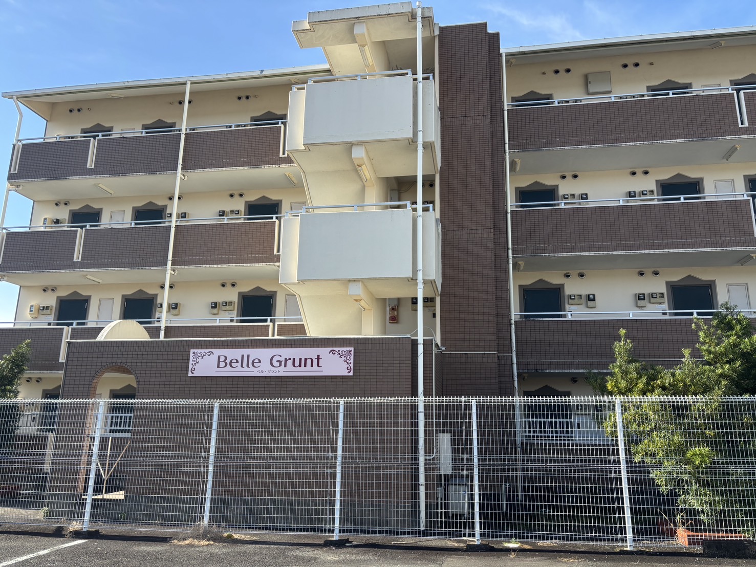 �������ѽɼ�Bell Grunt����